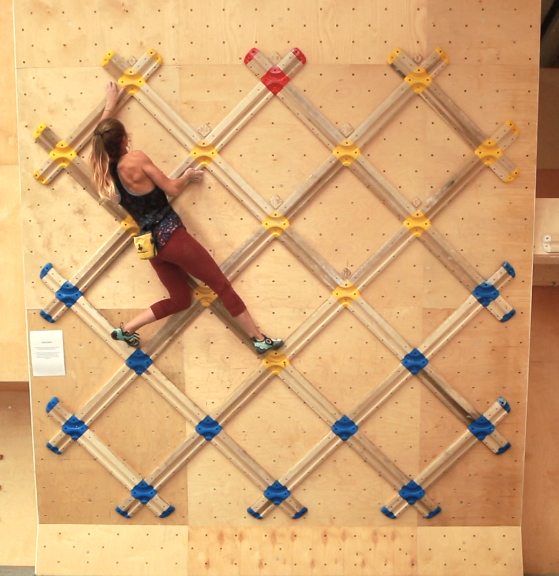 Lattice Training