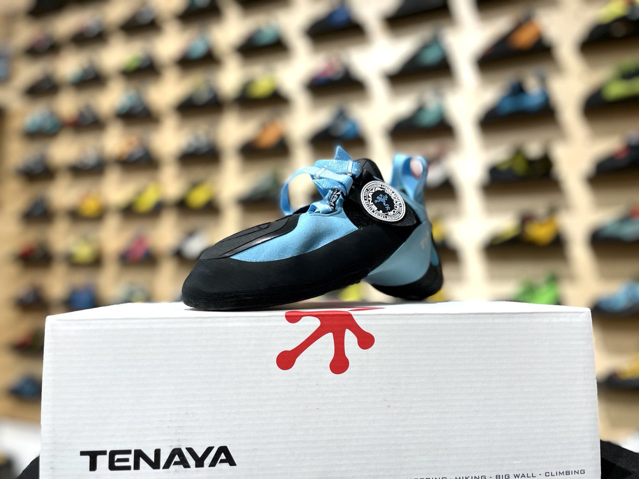 Indalo Tenaya