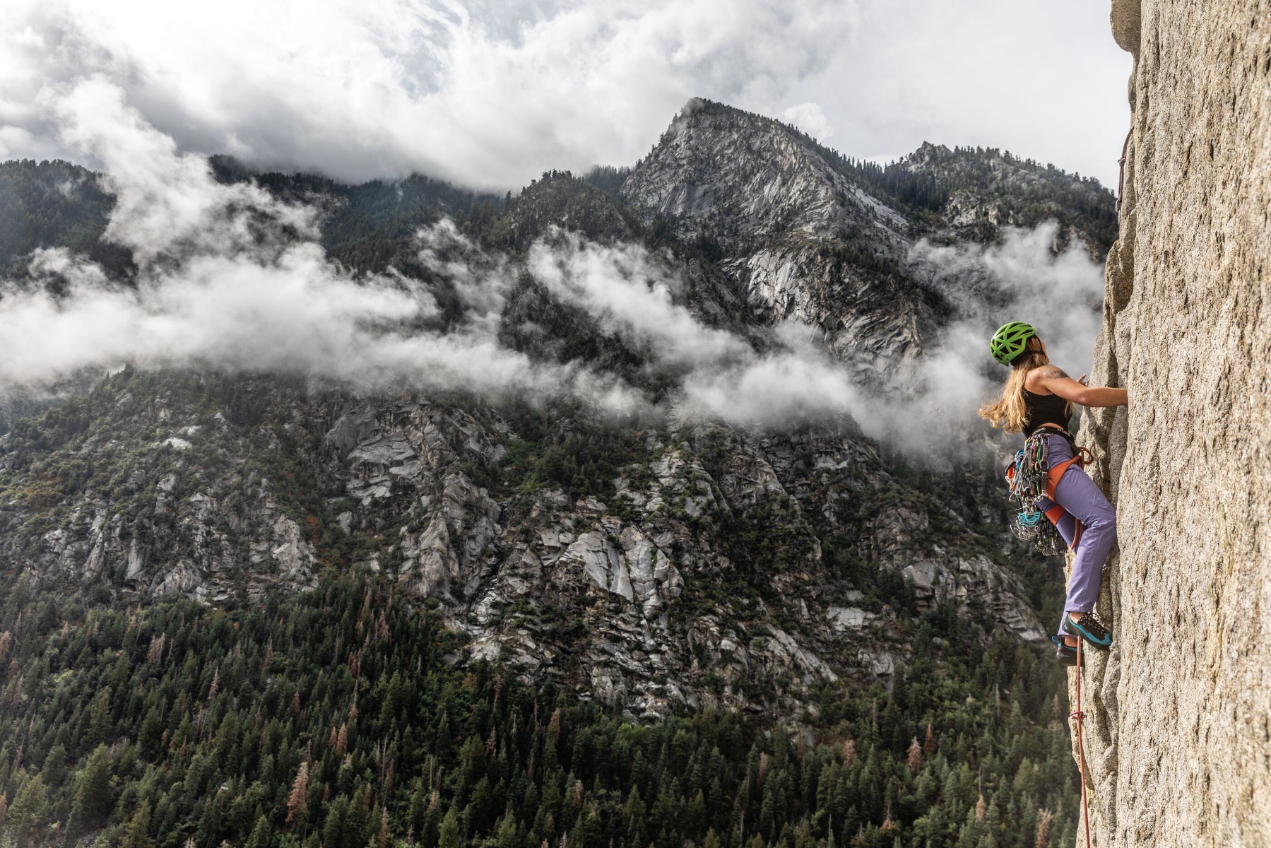 © Andrew Burr