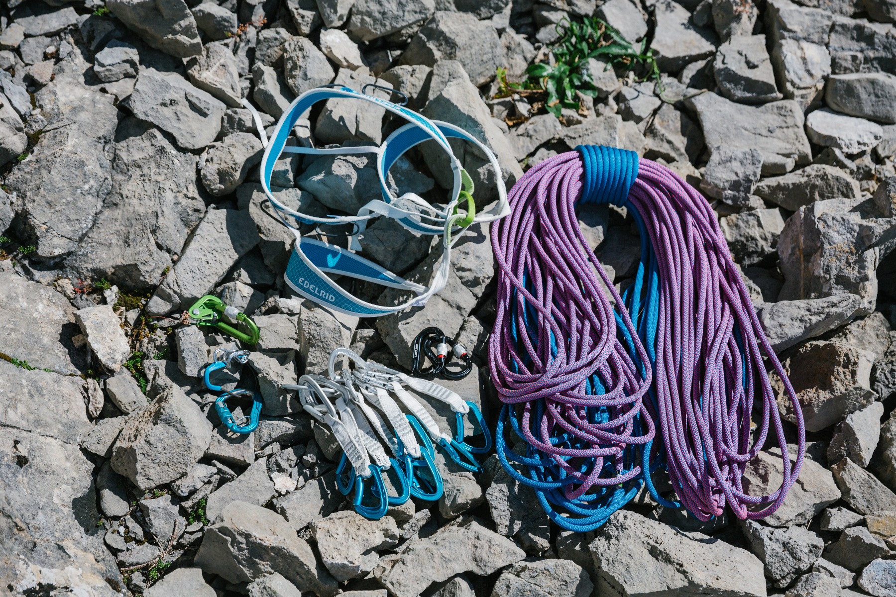 Edelrid