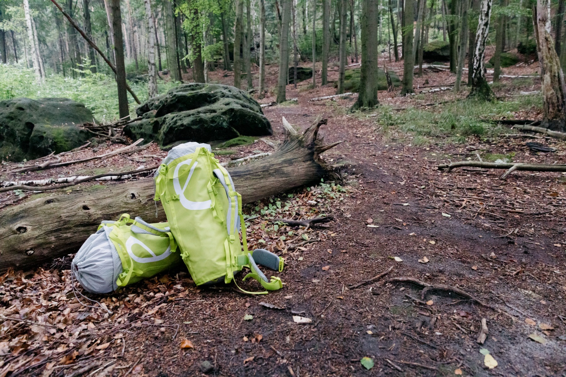Edelrid