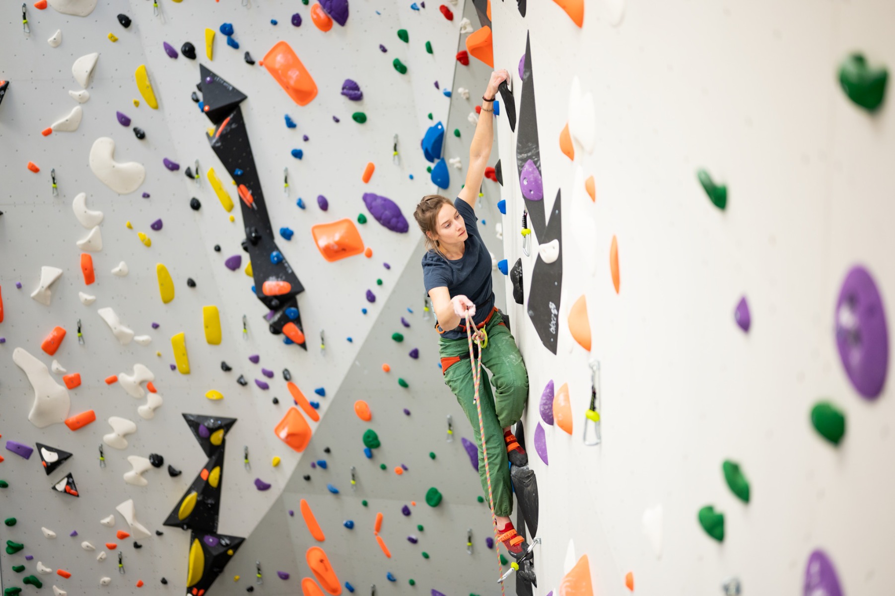 Edelrid