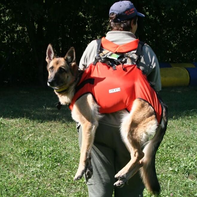 Alp Design Taxi imbragatura per cane soccorso