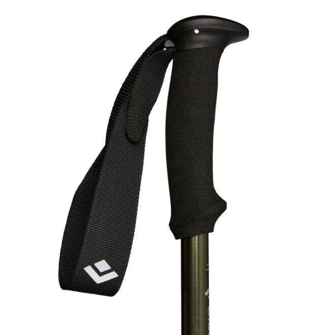 BD Black Diamond Explorer 3 bastoncini da trekking