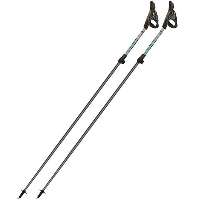 Fizan Carbon Pro Impulse bastoncini nordic walking