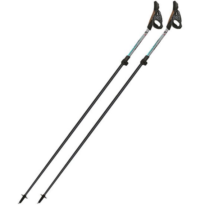 Fizan Tekno Impulse bastoncini nordic walking