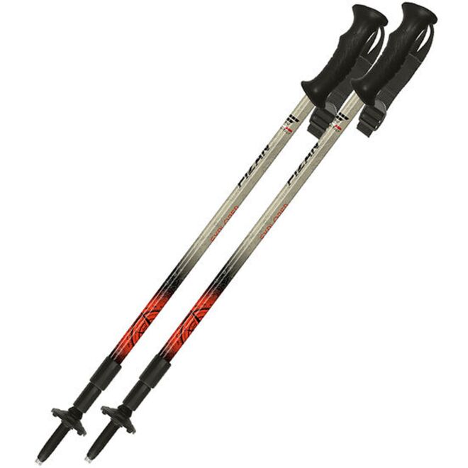 Fizan Explorer bastoncini trekking