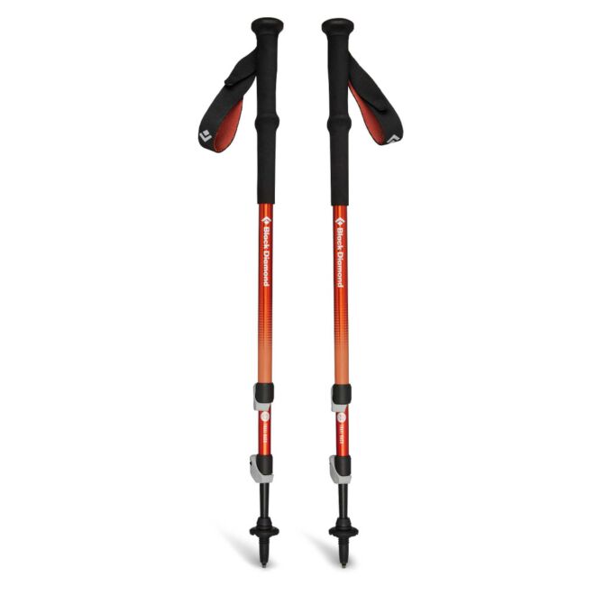 BD Black Diamond Trail Back bastoncini trekking