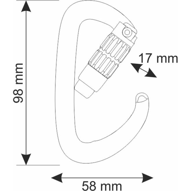 CAMP Orbit 2Lock moschettone arrampicata