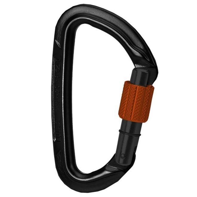 Wild Country Session moschettone a ghiera arrampicata