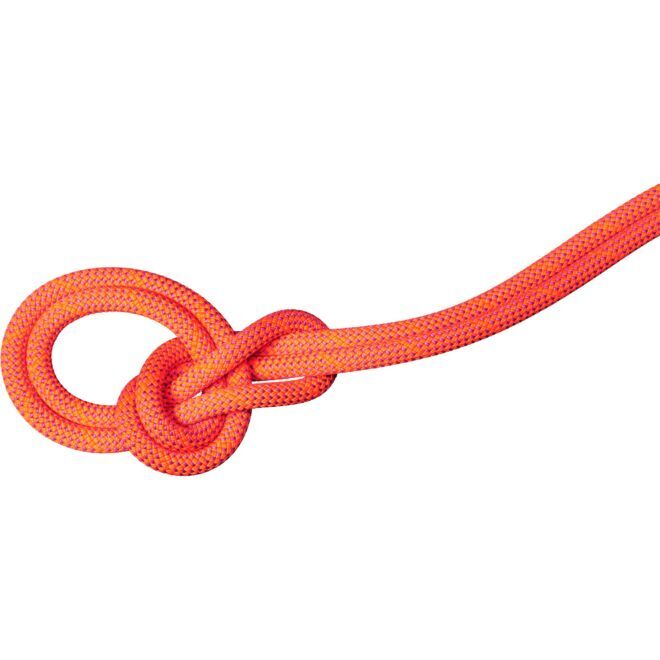 Mammut 9.8 Crag Dry Rope corda arrampicata