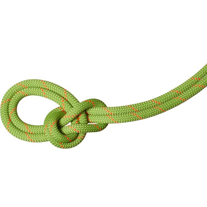 Mammut 9.8 Crag Recycled Classic Rope corda arrampicata