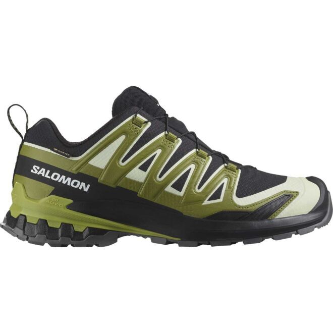 Salomon XA Pro 3D V9 GTX scarpe trail running