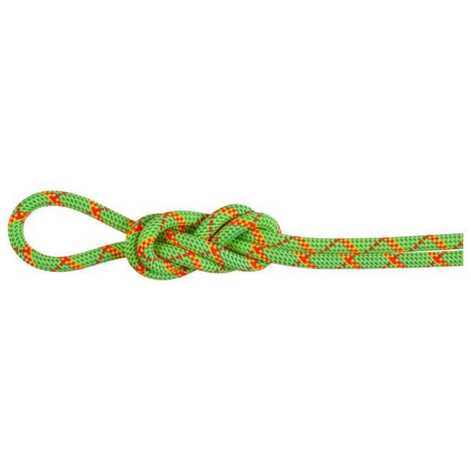 Mammut 8.0 Alpine Core Protect Dry mezza corda arrampicata