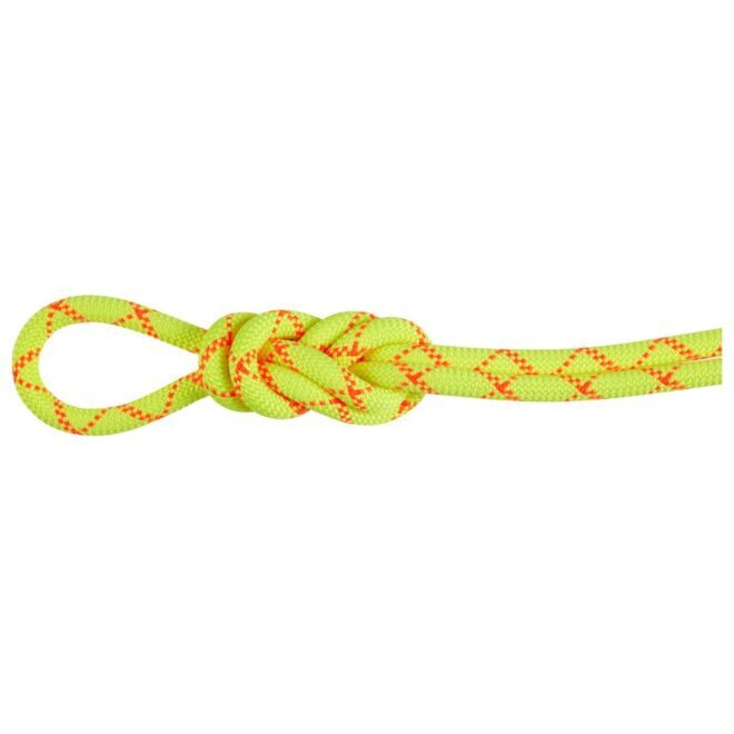 Mammut 9.5 Alpine Core Protect Dry corda arrampicata