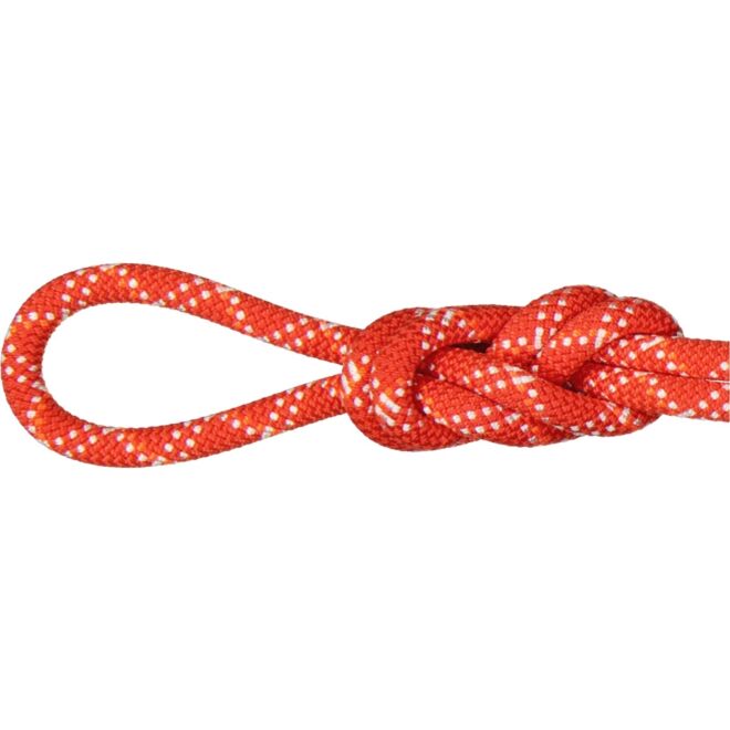 Mammut 9.5 Gym Classic Rope corda arrampicata
