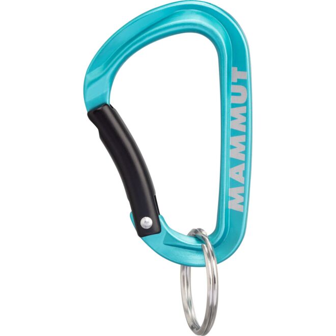 Mammut Mammut Mini Carabiner Classic Keylock S moschettone portachiavi