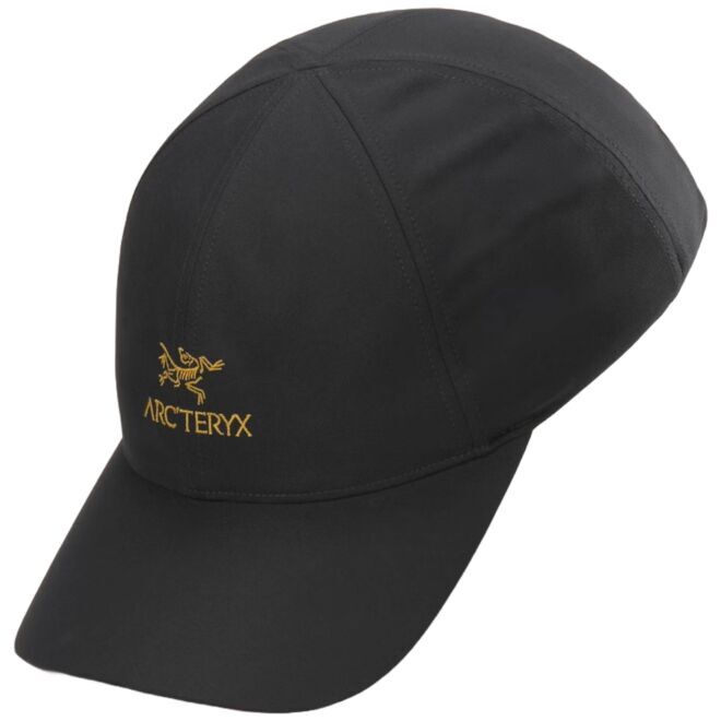 Arc'teryx Bird Word cappello