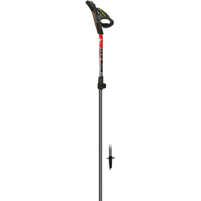 Fizan Carbon Pro Impulse bastoncini nordic walking