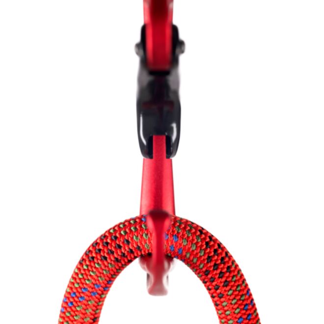 Fixe Picot Curve karabiner