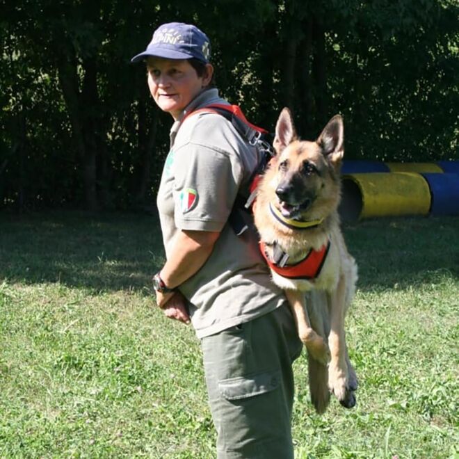 Alp Design Taxi imbragatura per cane soccorso