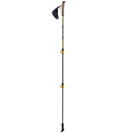 Leki Traveller FX.One Carbon Bastoncini nordic walking