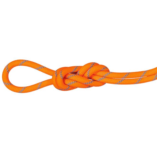 Mammut 8.7 Alpine Sender Dry Rope corda arrampicata