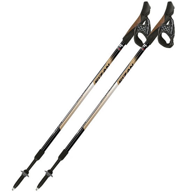 Fizan Speed bastoncini nordic walking 