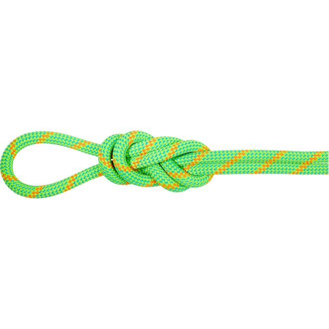 Mammut 8.0 Alpine Dry Rope corda arrampicata
