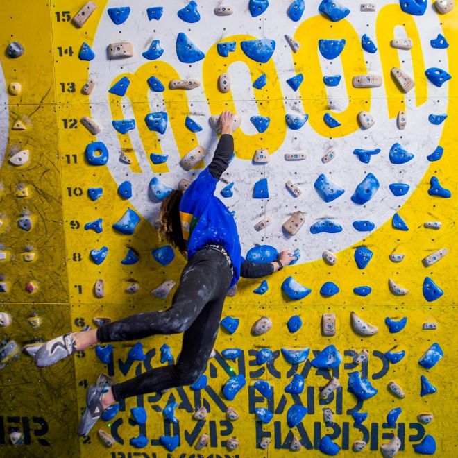 Moon School Holds - Set D 40 prese arrampicata