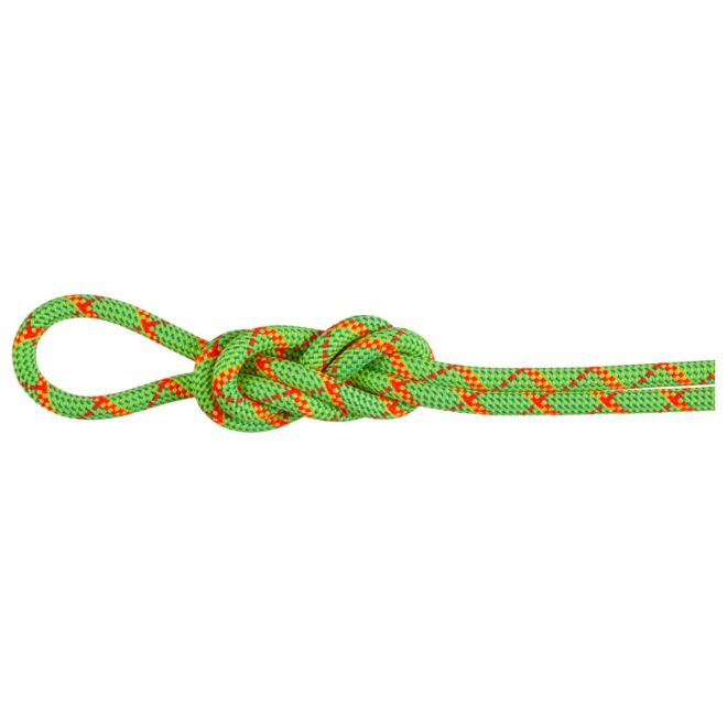 Mammut 8.0 Alpine Core Protect Dry mezza corda arrampicata