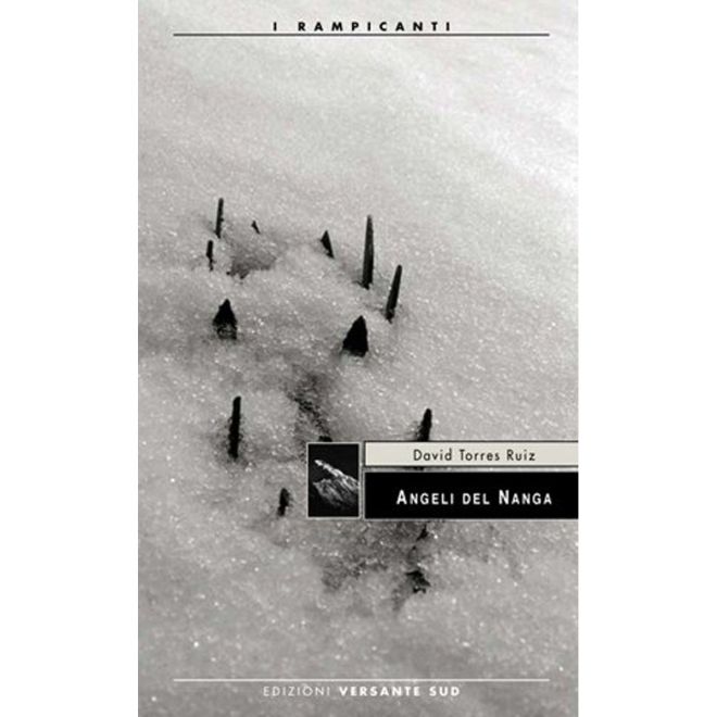 Versante Sud Angeli del Nanga romanzo alpinismo