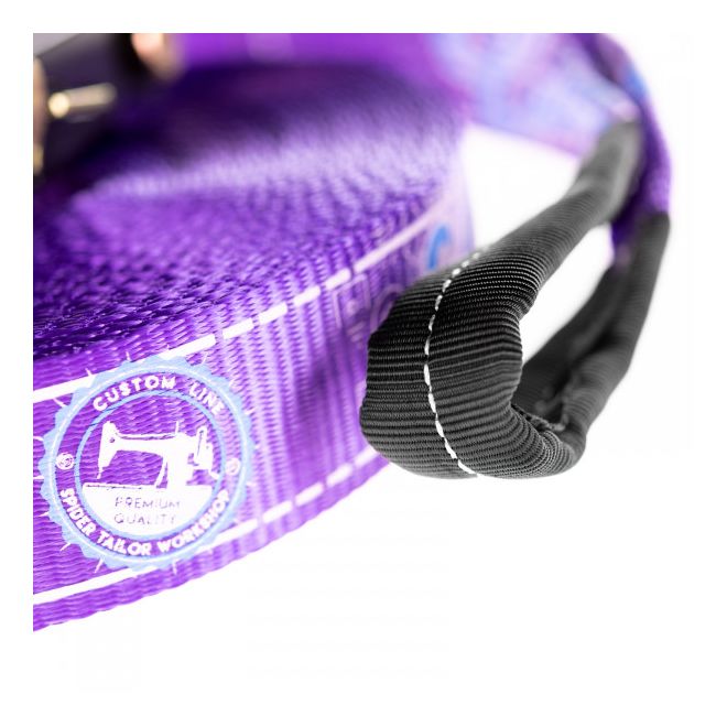 Spider Slacklines Slackline Kit Custom Line 30 slackline